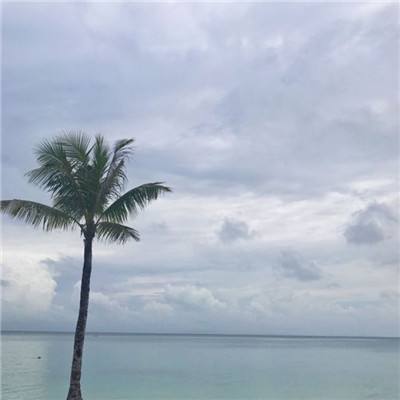 一品芝麻官游戏破解下载